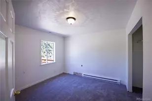 126 Sullivan St, Bailey, CO 80421 - Photo 10