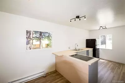 126 Sullivan Street, Bailey, CO 80421 - Photo 6