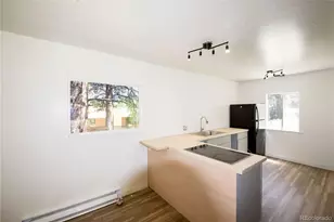 126 Sullivan St, Bailey, CO 80421 - Photo 6