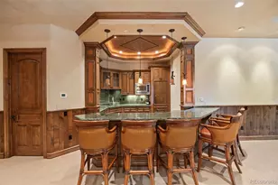 1033 Anaconda Dr, Castle Rock, CO 80108 - Photo 34