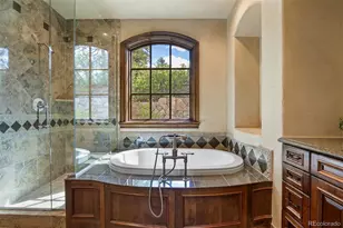 1033 Anaconda Dr, Castle Rock, CO 80108 - Photo 36