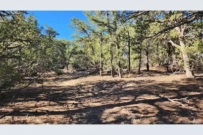 2417 Indian Wells Road, Cotopaxi, CO 81223 - Photo 12