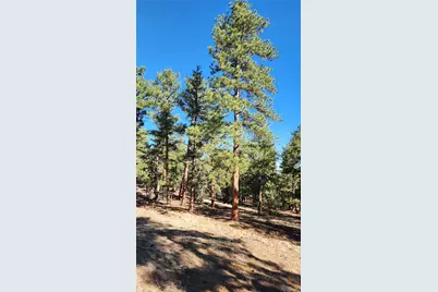 2417 Indian Wells Road, Cotopaxi, CO 81223 - Photo 20