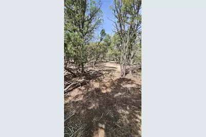 2417 Indian Wells Road, Cotopaxi, CO 81223 - Photo 28