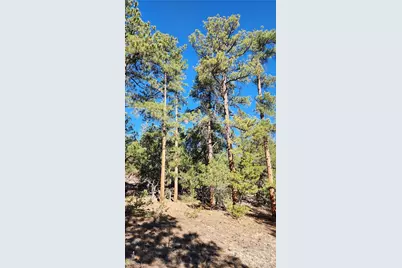 2417 Indian Wells Road, Cotopaxi, CO 81223 - Photo 24