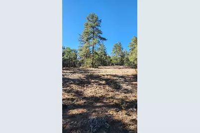 2417 Indian Wells Road, Cotopaxi, CO 81223 - Photo 22