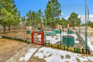 12984 Crowfoot Springs Rd, Larkspur, CO 80118 - Photo 40