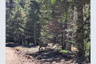 3244 Zipf, Fort Garland, CO 81133 - Photo 6
