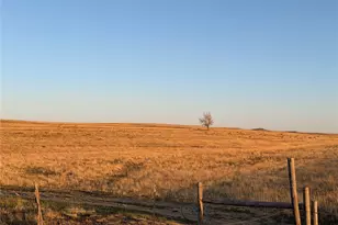 25411 Co Rd 105, Simla, CO 80835 - Photo 1
