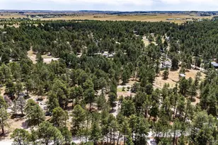 33802 Meadowlark Dr, Elizabeth, CO 80107 - Photo 42