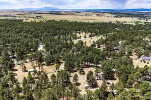 33802 Meadowlark Dr, Elizabeth, CO 80107 - Photo 46