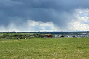 4305 Rapport Dr, Castle Rock, CO 80104 - Photo 38