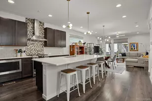 9029 Ramblestone St, Highlands Ranch, CO 80129 - Photo 18