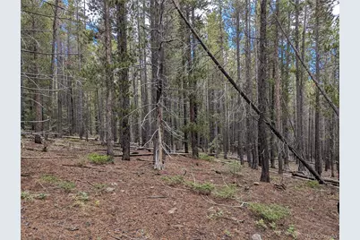 3022 Bolwell Lane, Fort Garland, CO 81133 - Photo 6