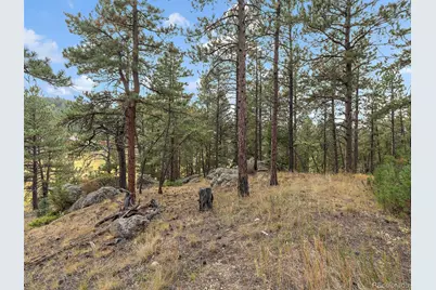 28155 Cragmont, Evergreen, CO 80439 - Photo 12