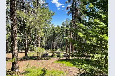 93 Gross Dam Road, Golden, CO 80403 - Photo 8