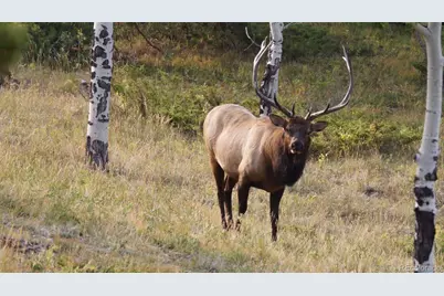 93 Gross Dam Road, Golden, CO 80403 - Photo 24