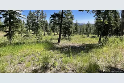 93 Gross Dam Road, Golden, CO 80403 - Photo 10