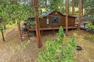 28321 Shadow Mountain Dr, Conifer, CO 80433 - Photo 4