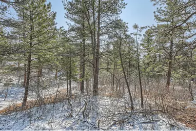 665 Copper Fox Place, Larkspur, CO 80118 - Photo 20