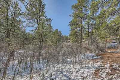 665 Copper Fox Place, Larkspur, CO 80118 - Photo 8