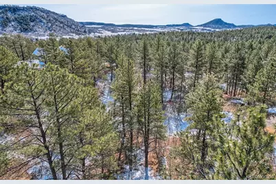 665 Copper Fox Place, Larkspur, CO 80118 - Photo 12