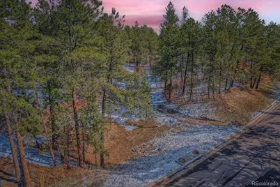 665 Copper Fox Place, Larkspur, CO 80118 - Photo 1