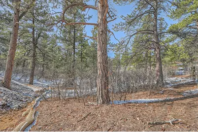 665 Copper Fox Place, Larkspur, CO 80118 - Photo 22
