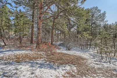 665 Copper Fox Place, Larkspur, CO 80118 - Photo 16