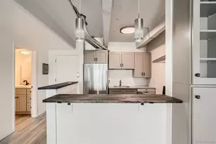 1265 Race St, Denver, CO 80206 - Photo 10