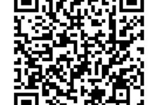 265 Talus Rd, Monument, CO 80132 - Photo 38