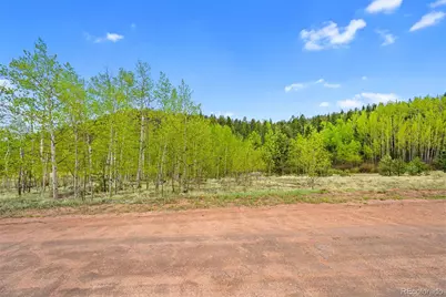 522 Hidden Valley Drive, Lake George, CO 80827 - Photo 2