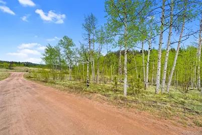 522 Hidden Valley Drive, Lake George, CO 80827 - Photo 8