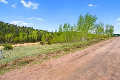 522 Hidden Valley Drive, Lake George, CO 80827 - Photo 1