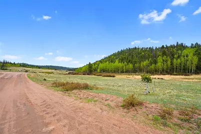 522 Hidden Valley Drive, Lake George, CO 80827 - Photo 10