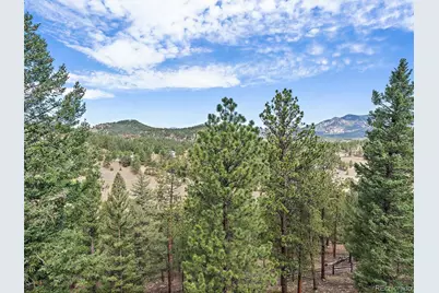 13695 May Long Court, Pine, CO 80470 - Photo 40