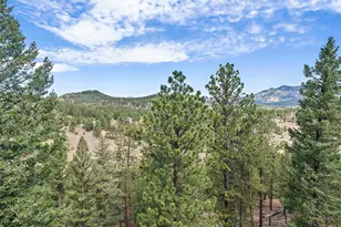 13695 May Long Ct, Pine, CO 80470 - Photo 40