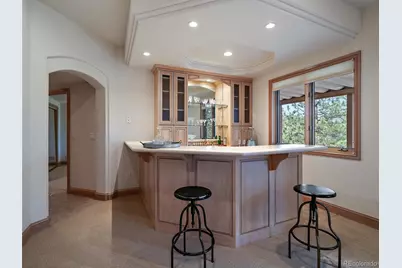 13695 May Long Court, Pine, CO 80470 - Photo 44