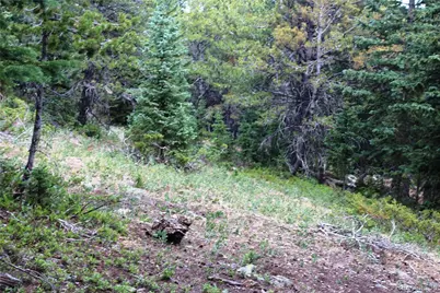 00 Fs 411.1, Black Hawk, CO 80422 - Photo 22