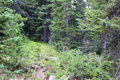 00 Fs 411.1, Black Hawk, CO 80422 - Photo 20