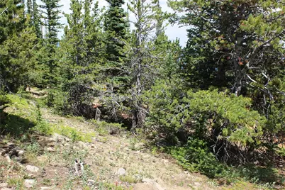 00 Fs 411.1, Black Hawk, CO 80422 - Photo 12