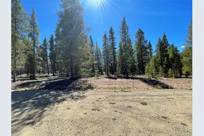 251 Virginia Avenue, Leadville, CO 80461 - Photo 4