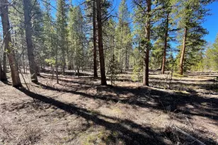 251 Virginia Ave, Leadville, CO 80461 - Photo 1