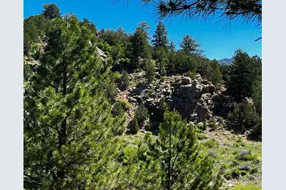 525 Brush Hollow Road, Westcliffe, CO 81252 - Photo 4