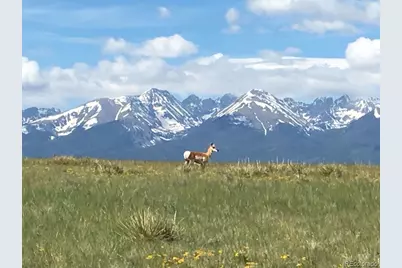 525 Brush Hollow Road, Westcliffe, CO 81252 - Photo 10