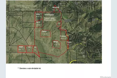 525 Brush Hollow Road, Westcliffe, CO 81252 - Photo 2