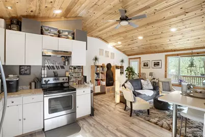 226 Hall Road, Bailey, CO 80421 - Photo 8