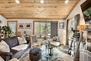 226 Hall Rd, Bailey, CO 80421 - Photo 12