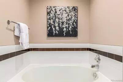 8837 Cactus Flower Way, Highlands Ranch, CO 80126 - Photo 24