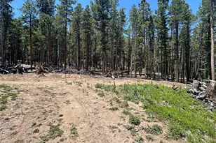 754 Mountain Meadows Dr, Black Hawk, CO 80422 - Photo 12